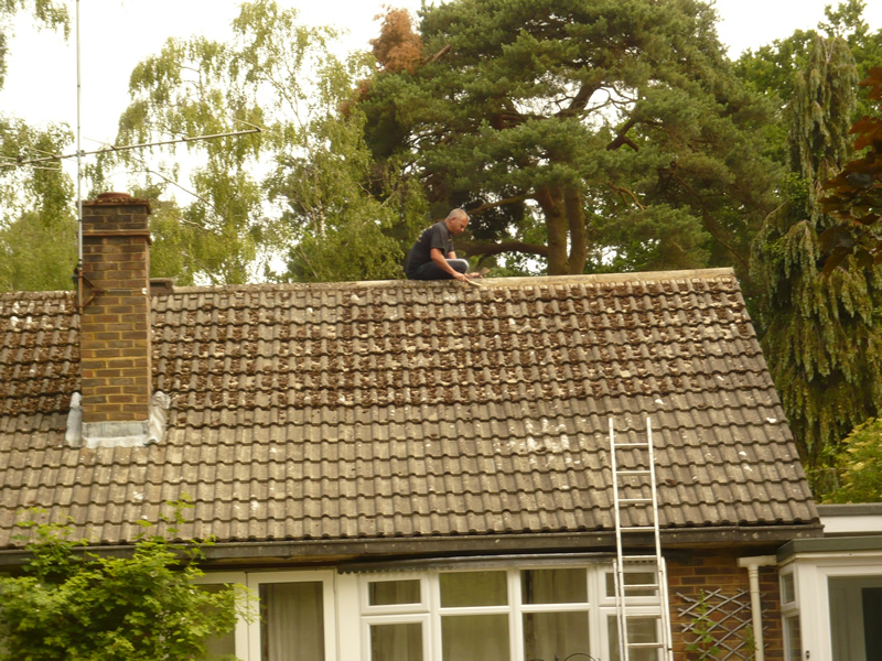 Roof Cleaning Gallery 1