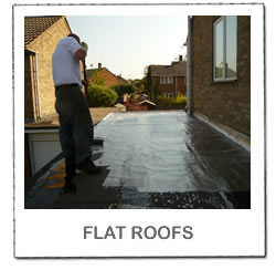 Flat Roof Services