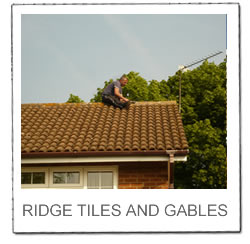 View Ridge Tiles Gallery