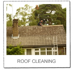 Roof Cleaning Gallery