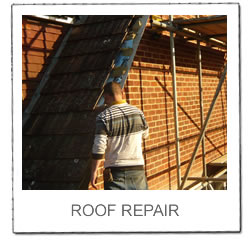 Roof Repair Gallery